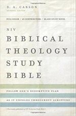 NIV BIBLICAL THEOLOGY STUDY BIBLE HC