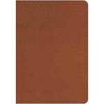ESV COMPACT TAN LL