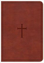 CSB COMPACT LP REF TI IM BROWN