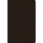 KJV STD TI GL DARK BROWN