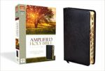 AMPLIFIED HOLY BIBLE TI BLACK BL