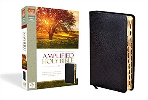 AMPLIFIED HOLY BIBLE TI BLACK BL