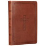 KJV SUPER GIANT PRINT TAN IM LEATHER