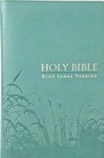 KJV STD TURQUOISE ZIP