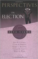 PERSPECTIVES ON ELECTION