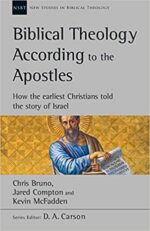BIBLICAL THEOLOGY ACC TO APOSTLES - NSBT