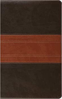 ESV LP PERSONAL SIZE TT FOREST