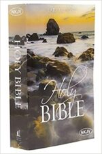 NKJV ECONOMY BIBLE LP