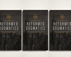 REFORMED DOGMATICS 5 VOLUME SET