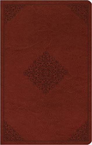 ESV LP VALUE THINLINE TT TAN ORNAMENT DE