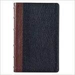 KJV STD BROWN/BLACK GL