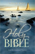 NIV ECONOMY BIBLE LARGE PRINT
