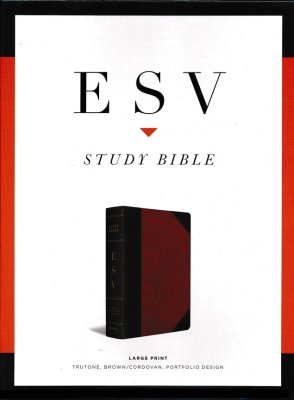 ESV STUDY BIBLE LP TT BROWN/CORDOVAN