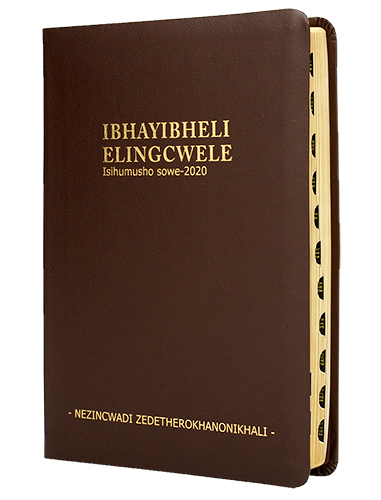 ISIZULU 2020 MED DARK BR BL TI