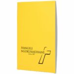 ISIZULU 2020 PORTION - JOHN