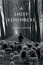 SHEEP REMEMBERS, A