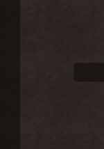 NIV SUPER GIANT PRINT REF GREY/RED IM