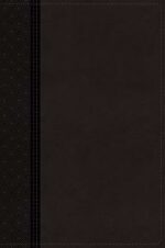 NIV LARGE PRINT THINLINE REF CHARCOAL IM