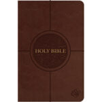 ESV STD TI DARK BROWN ZIP IM