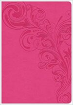 CSB SUPER GIANT PRINT REF PINK IM