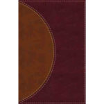 AMPLIFIED READING BIBLE IM BROWN