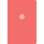 CSB EVERYDAY STUDY BIBLE IM CORAL