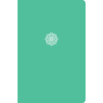 CSB EVERYDAY STUDY BIBLE IM MINT