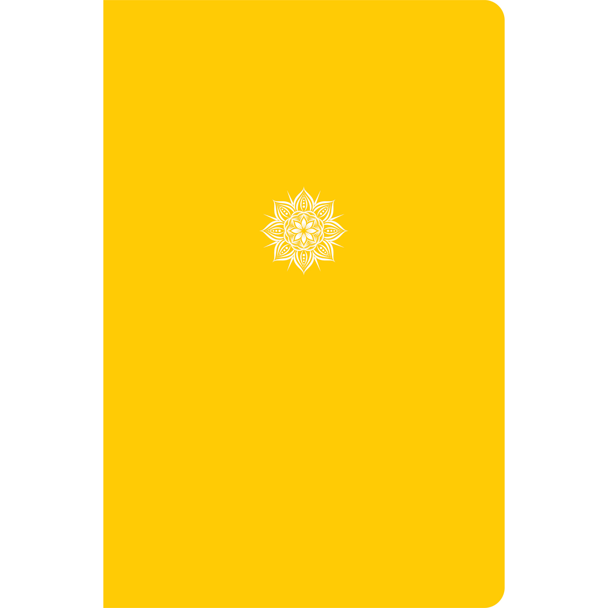 CSB EVERYDAY STUDY BIBLE IM YELLOW