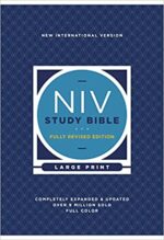 NIV STUDY BIBLE LP H/C