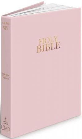 NIV VINYL BLUSH PINK