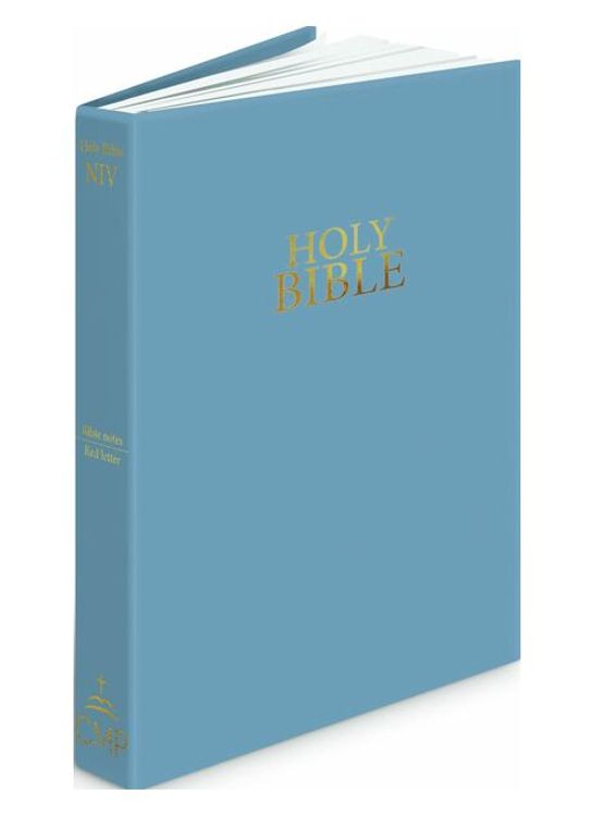 NIV VINYL STEEL BLUE BIBLE